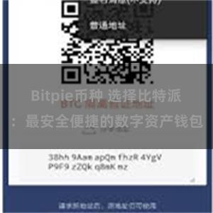 Bitpie币种 选择比特派：最安全便捷的数字资产钱包