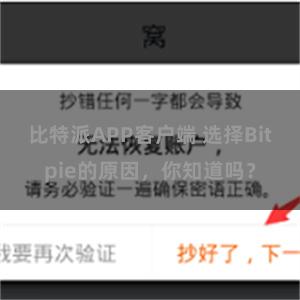 比特派APP客户端 选择Bitpie的原因，你知道吗？