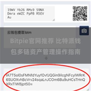 Bitpie官网推荐 比特派钱包多链资产管理操作指南