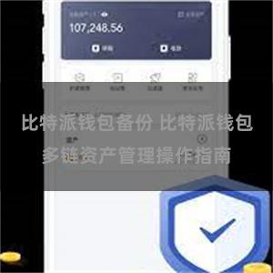 比特派钱包备份 比特派钱包多链资产管理操作指南