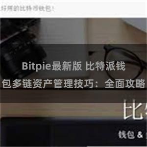 Bitpie最新版 比特派钱包多链资产管理技巧：全面攻略