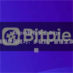 Bitpie钱包安全 Bitpie钱包使用技巧：多链资产管理全攻略