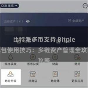 比特派多币支持 Bitpie钱包使用技巧：多链资产管理全攻略