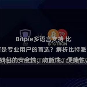 Bitpie多语言支持 比特派钱包为何是专业用户的首选？解析比特派钱包的安全性、功能性、便捷性、支持性等优势。