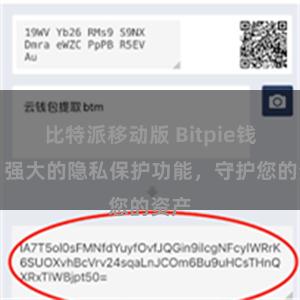 比特派移动版 Bitpie钱包：强大的隐私保护功能，守护您的资产