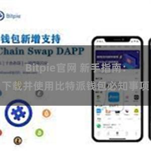 Bitpie官网 新手指南：下载并使用比特派钱包必知事项