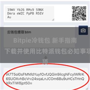 Bitpie冷钱包 新手指南：下载并使用比特派钱包必知事项