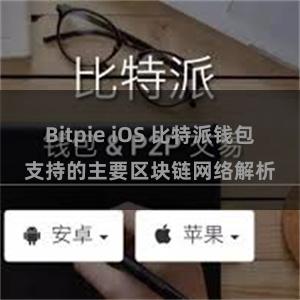 Bitpie iOS 比特派钱包支持的主要区块链网络解析