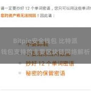 Bitpie安全钱包 比特派钱包支持的主要区块链网络解析