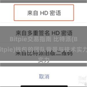 Bitpie交易指南 比特派(Bitpie)钱包的团队背景与技术实力