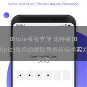 Bitpie系统支持 比特派(Bitpie)钱包的团队背景与技术实力