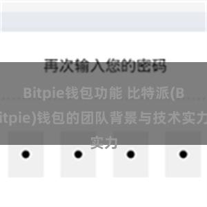 Bitpie钱包功能 比特派(Bitpie)钱包的团队背景与技术实力