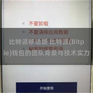 比特派移动版 比特派(Bitpie)钱包的团队背景与技术实力