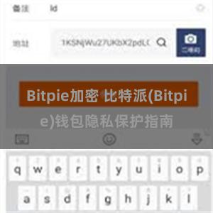 Bitpie加密 比特派(Bitpie)钱包隐私保护指南