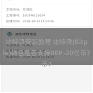 比特派安装教程 比特派(Bitpie)钱包是否支持BEP-20代币？