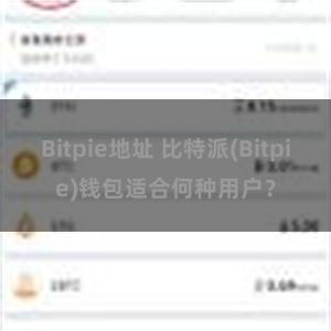 Bitpie地址 比特派(Bitpie)钱包适合何种用户？