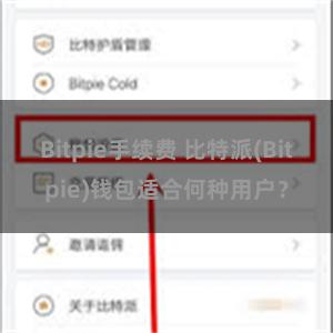 Bitpie手续费 比特派(Bitpie)钱包适合何种用户？