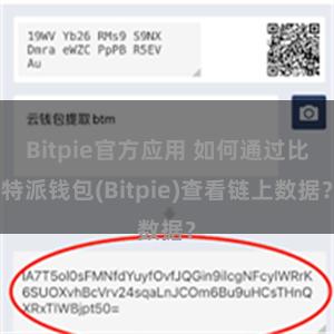 Bitpie官方应用 如何通过比特派钱包(Bitpie)查看链上数据？