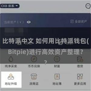 比特派中文 如何用比特派钱包(Bitpie)进行高效资产整理？