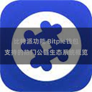 比特派功能 Bitpie钱包支持的热门公链生态系统概览