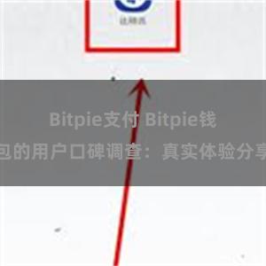 Bitpie支付 Bitpie钱包的用户口碑调查：真实体验分享