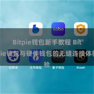 Bitpie钱包新手教程 Bitpie钱包与硬件钱包的无缝连接体验