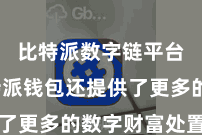 比特派数字链平台  比特派钱包还提供了更多的数字财富处置劳动