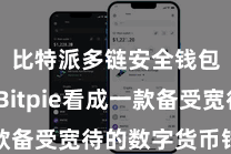 比特派多链安全钱包 而Bitpie看成一款备受宽待的数字货币钱包软件
