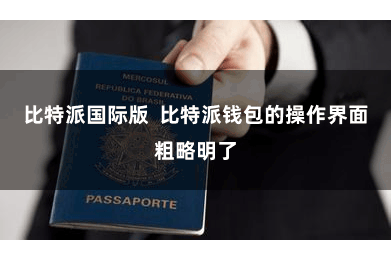 比特派国际版  比特派钱包的操作界面粗略明了